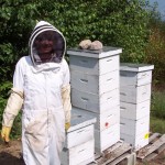That’s me inside the bee suit! I was doing research for the scene in SUGAR AND ICE where Claire and Natalie argue out at the bee hives.