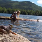 Copperas Pond in the Adirondacks. This setting was the inspiration for MARTY MCGUIRE’S pond-filled school pond. My family likes catching frogs, too!