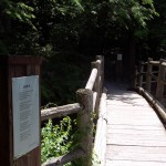 The Robert Frost Trail in Ripton, Vermont. All along the trail, there are plaques with Frost poems that fit the landscape. This was the inspiration for one of the chapters in THE BRILLIANT FALL OF GIANNA Z.