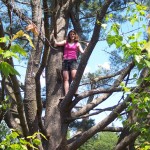 And this is the amazing climbing tree that Gianna climbs in the book! I couldn’t resist climbing it, too.