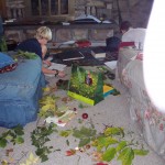 The 7th grade leaf collection project at my middle school was the inspiration for THE BRILLIANT FALL OF GIANNA Z.