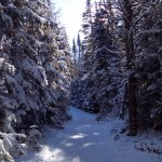 The Adirondack cross country skiing trail that inspired OVER AND UNDER THE SNOW.